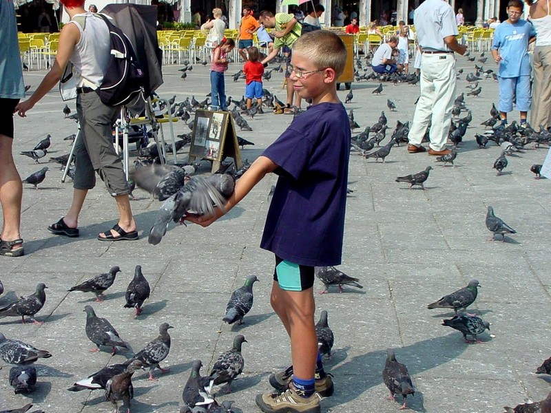 [DOT CD06] Italy Venice - Pigeons; DISPLAY FULL IMAGE.