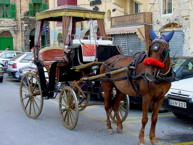 [DOT CD06] Malta - Horse Cart; DISPLAY FULL IMAGE.