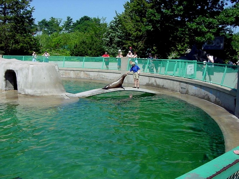 [DOT CD06] Missouri Kansas City - Swope Park Zoo - Sea Lion; DISPLAY FULL IMAGE.