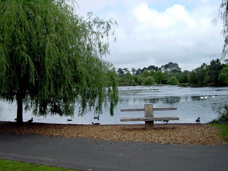 [DOT CD06] New Zealand - Auckland Westwen Park - Ducks; DISPLAY FULL IMAGE.