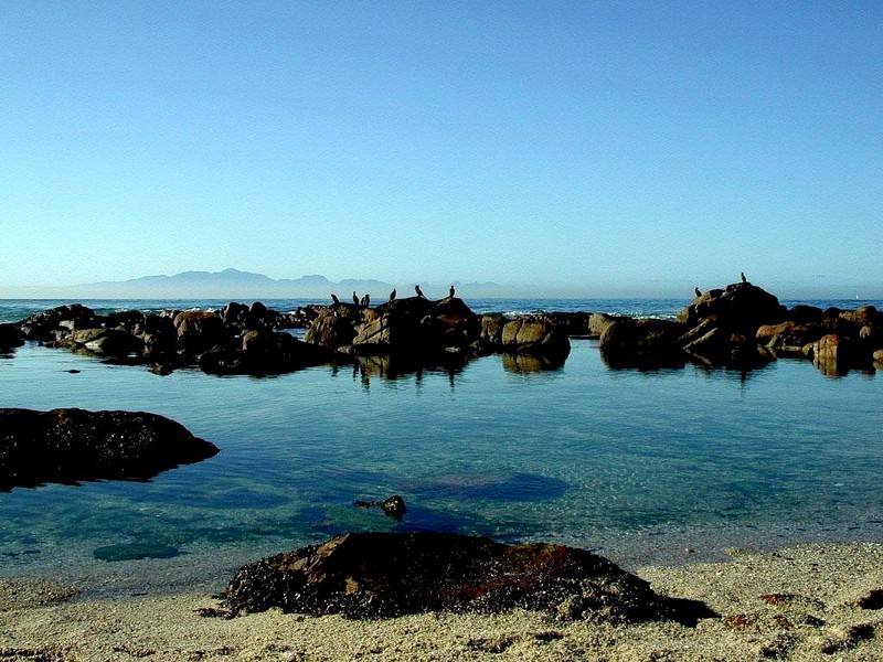 [DOT CD06] South Africa - Cape Town St. James Rock Pool - Birds; DISPLAY FULL IMAGE.