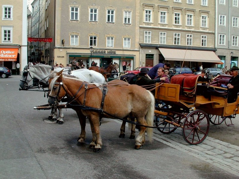 [DOT CD07] Austria - Province of Salzburg - Salzburg City - Horses; DISPLAY FULL IMAGE.