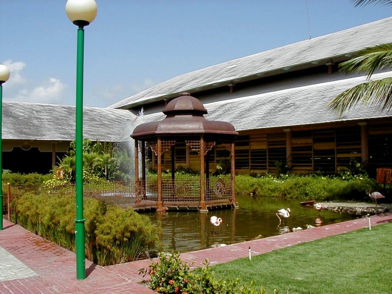 [DOT CD07] Dominican Republic - Iberostar Dominicana Resort - Flamingos; DISPLAY FULL IMAGE.