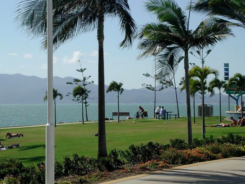 [DOT CD08] Australia Queensland - Townsville Area - Gulls; DISPLAY FULL IMAGE.