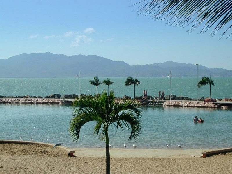 [DOT CD08] Australia Queensland - Townsville Area - Gulls; DISPLAY FULL IMAGE.