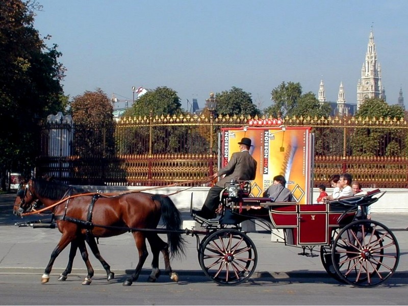 [DOT CD08] Austria Vienna Horse Carriage; DISPLAY FULL IMAGE.