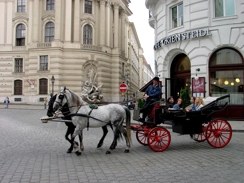 [DOT CD08] Austria Vienna Horse Carriage; DISPLAY FULL IMAGE.