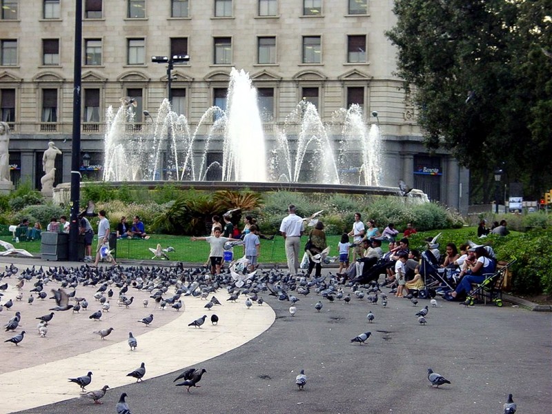 [DOT CD08] Spain Barcelona Sqare of Catalonia - Pigeons; DISPLAY FULL IMAGE.