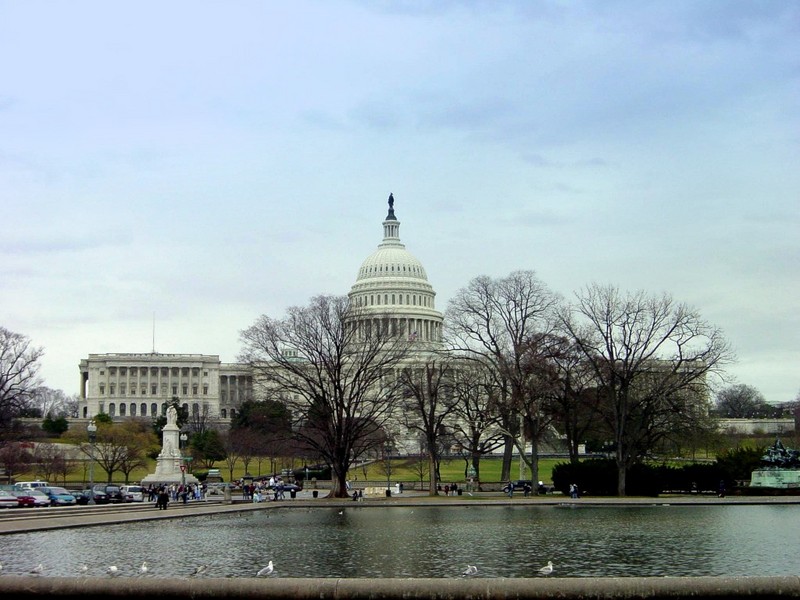 [DOT CD08] Washington DC - US Capitol - Gulls; DISPLAY FULL IMAGE.