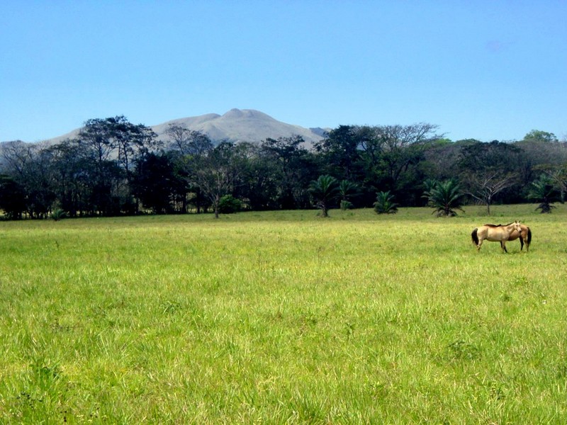 [DOT CD09] Costa Rica, Countryside - Horses; DISPLAY FULL IMAGE.