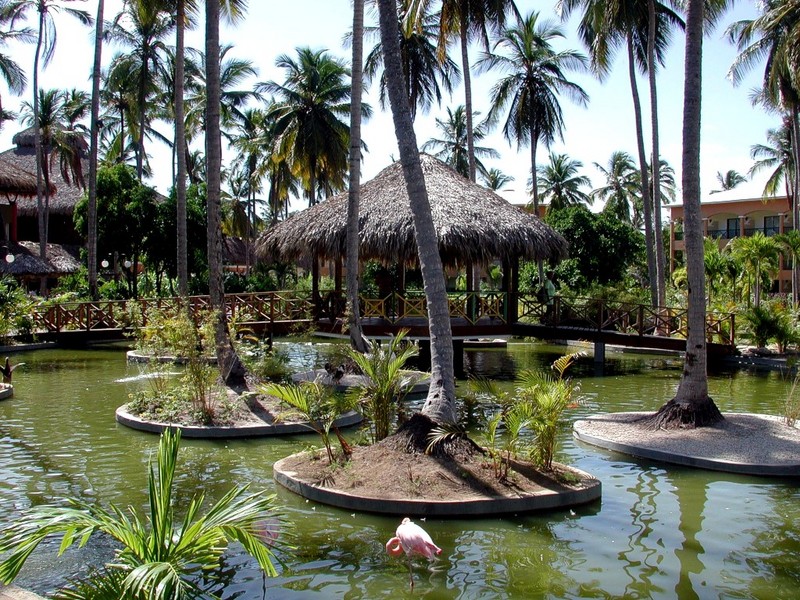 [DOT CD09] Dominican Republic, Punta Cana Resort - Flamingo; DISPLAY FULL IMAGE.