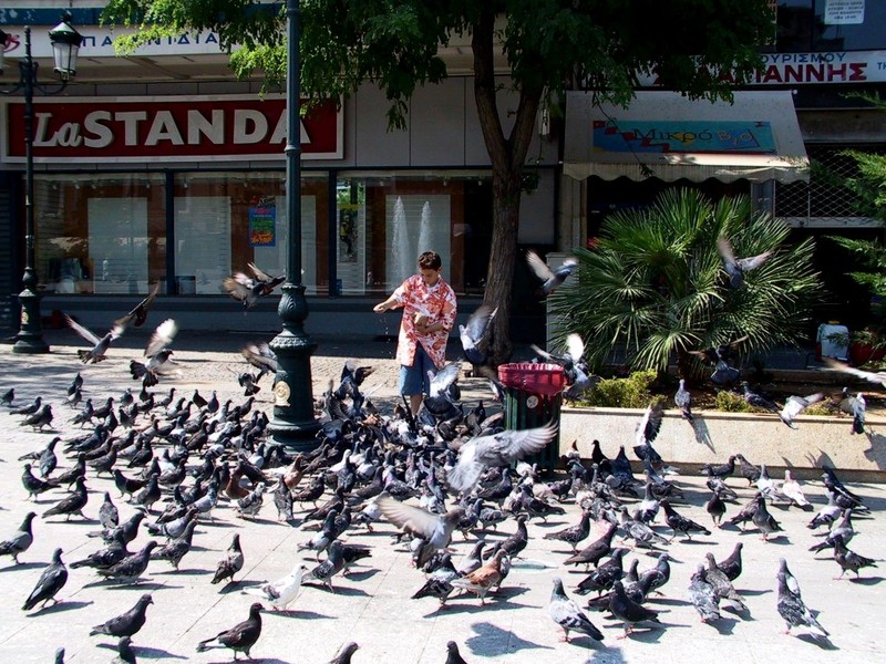 [DOT CD09] Greece Athens Downtown Square - Pigeons; DISPLAY FULL IMAGE.