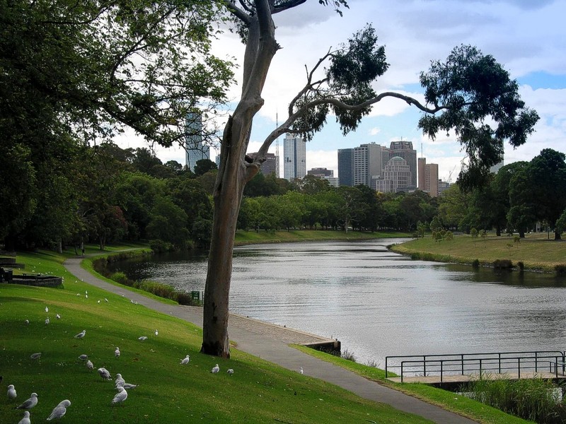 [DOT CD10] Australia Victoria Melbourne Yarra River - Gulls; DISPLAY FULL IMAGE.