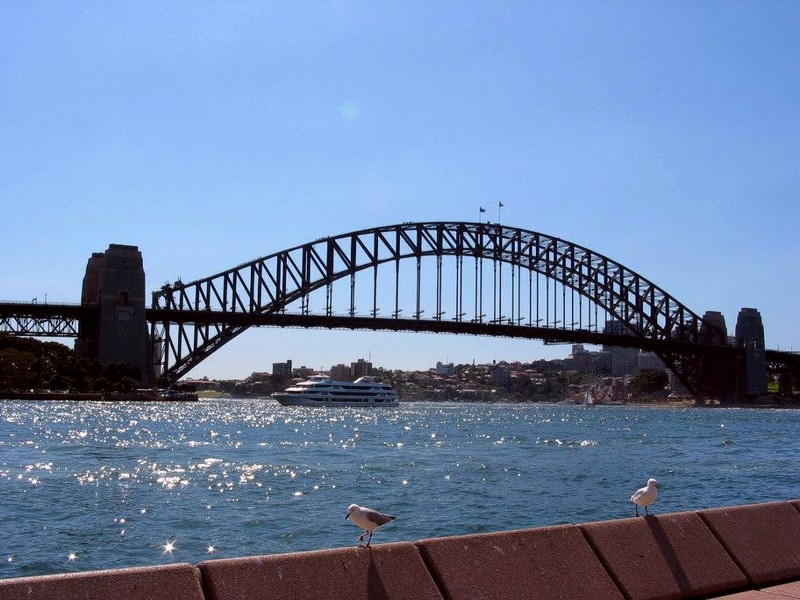 [DOT CD11] Australia Sydney Harbour Bridge - Gulls; DISPLAY FULL IMAGE.