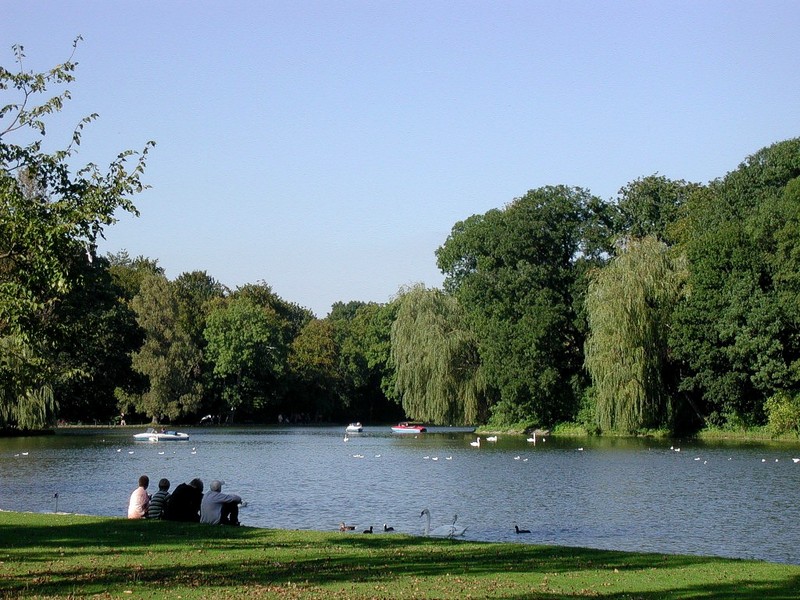 [DOT CD11] Germany Munich English Garden - Swans; DISPLAY FULL IMAGE.