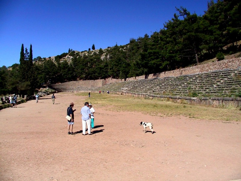 [DOT CD11] Greece Ancient Delphi - Dog; DISPLAY FULL IMAGE.