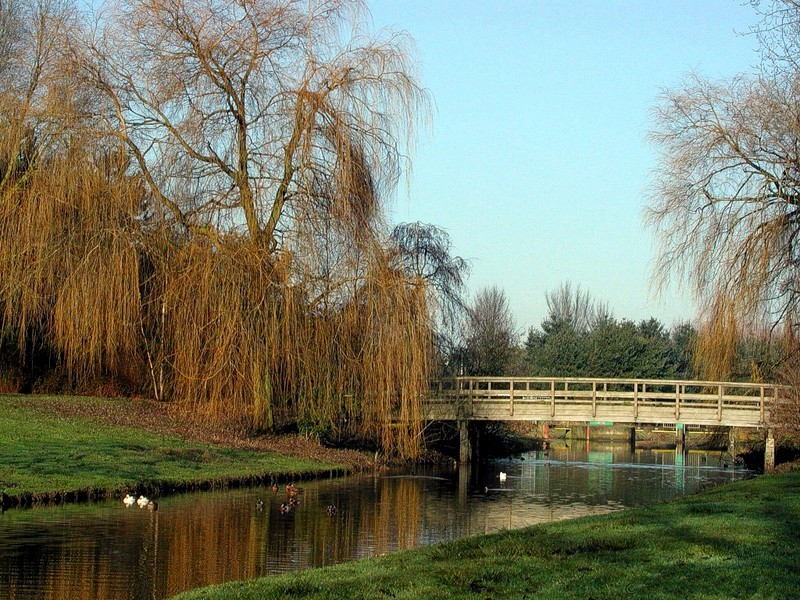 [DOT CD11] Netherlands Roosendaal - Ducks; DISPLAY FULL IMAGE.