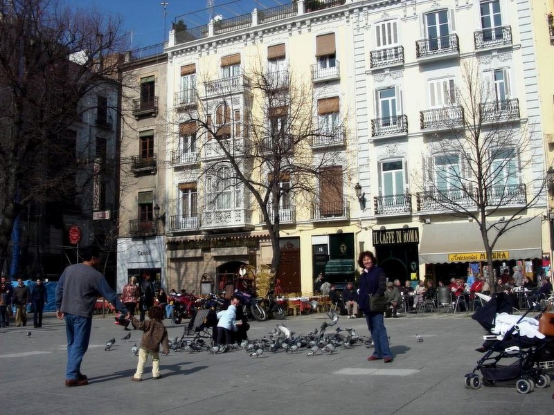 [DOT CD11] Spain Granada - Pigeons; DISPLAY FULL IMAGE.