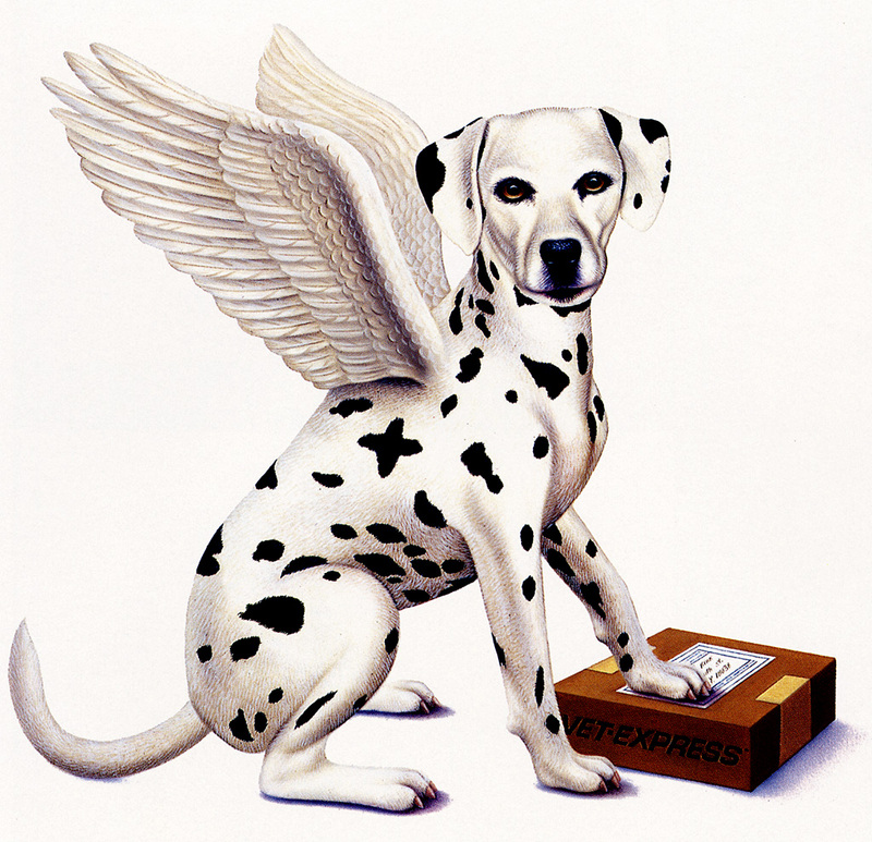 [zFox SDC Illustrations IS09] Daniel Kirk - Winged Dalmatian; DISPLAY FULL IMAGE.