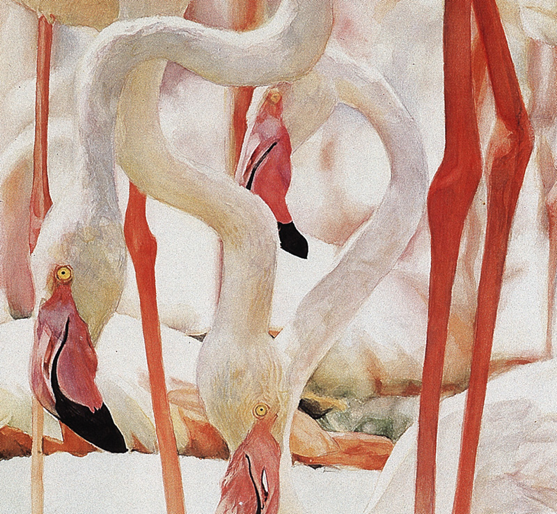 [zFox SDC Illustrations IS09] Wendy Grossman - Flamingo; DISPLAY FULL IMAGE.