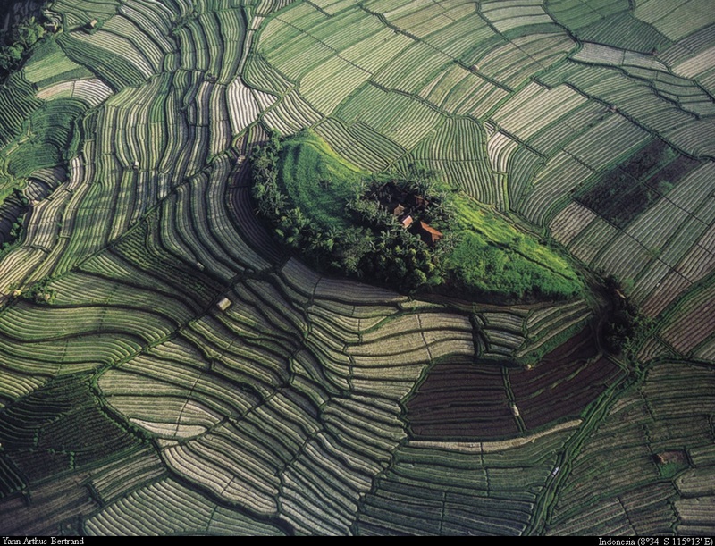 [B14 SLR: Yann Arthus-Bertrand] Island amidst the terraced rice paddy-fields of Bali; DISPLAY FULL IMAGE.