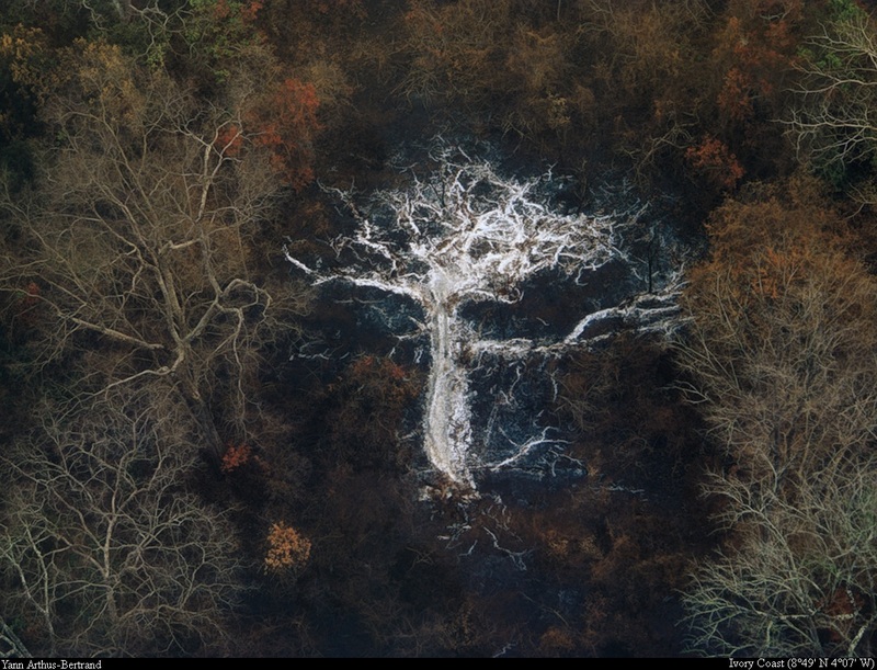 [B14 SLR: Yann Arthus-Bertrand] Tree ashes near the Gorowi Kongoli Mountains; DISPLAY FULL IMAGE.