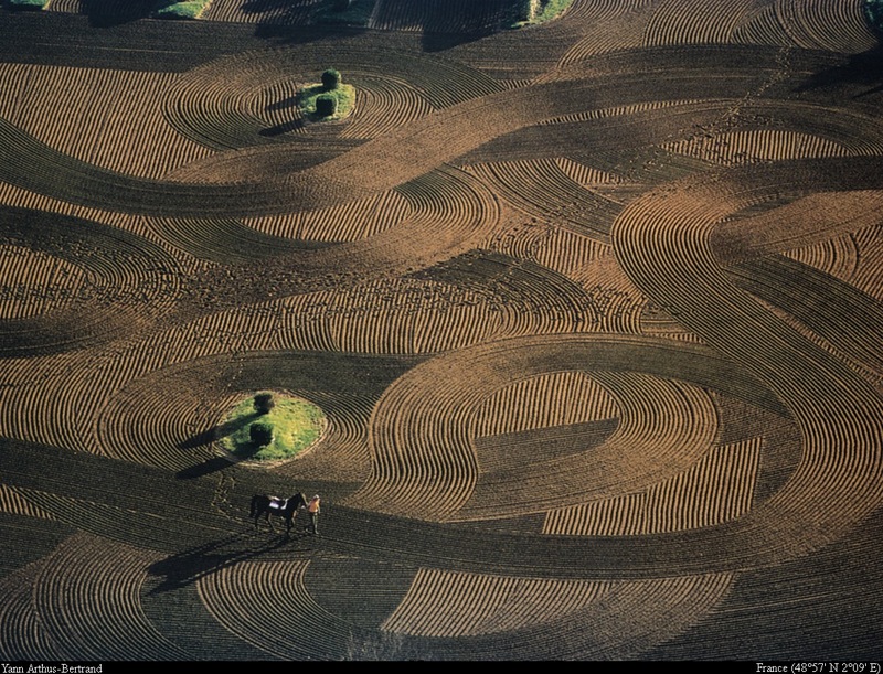 [B14 SLR: Yann Arthus-Bertrand] Practice ring in the Maisons-Laffitte hippodrome; DISPLAY FULL IMAGE.