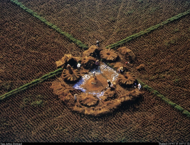 [B14 SLR: Yann Arthus-Bertrand] Working in the fields between Chiang Mai and Chiang Rai; DISPLAY FULL IMAGE.
