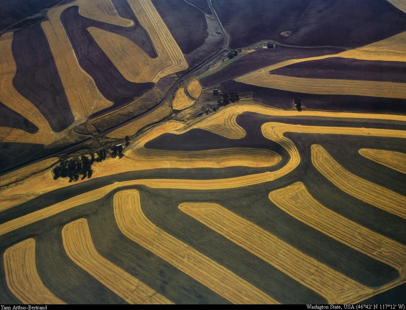 [B14 SLR: Yann Arthus-Bertrand] Farming near Pullman; DISPLAY FULL IMAGE.