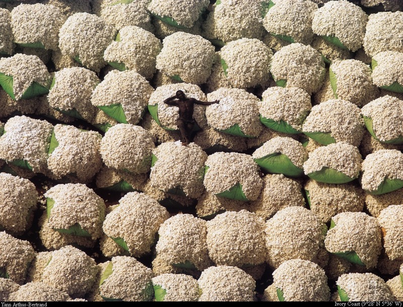 [B14 SLR: Yann Arthus-Bertrand] Cotton bales; DISPLAY FULL IMAGE.