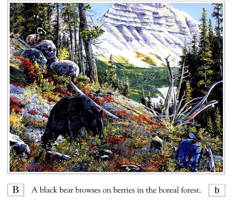 [Danielle scan] A Mountain Alphabet by Andrew Kiss - Bb; DISPLAY FULL IMAGE.