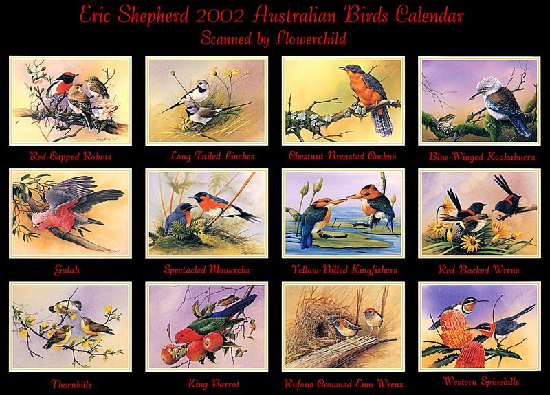 [Flowerchild scan] Eric Shepherd - 2002 Australian Birds Calendar - Index; DISPLAY FULL IMAGE.