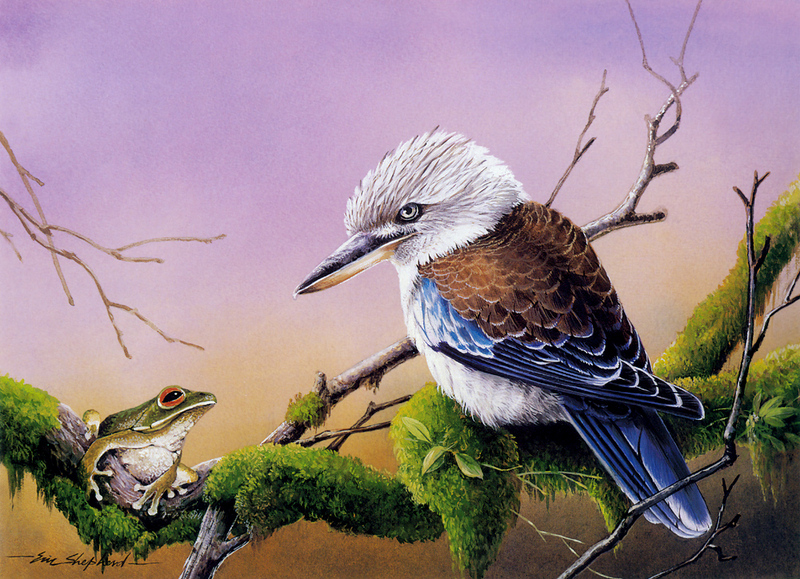 [Flowerchild scan] Eric Shepherd - 2002 Australian Birds Calendar - Blue-winged Kookaburra; DISPLAY FULL IMAGE.