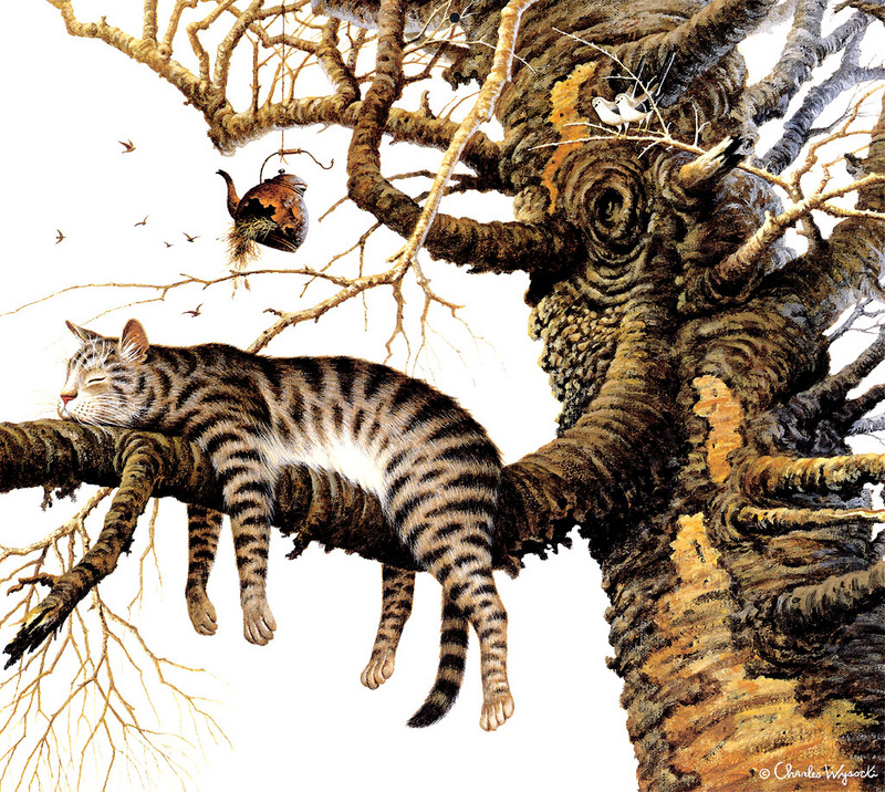 [Flowerchild scan] Charles Wysocki - 2002 Cat Calendar; DISPLAY FULL IMAGE.