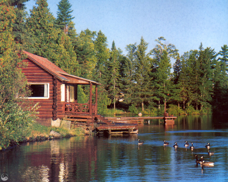 [Wrath Scenes] Canada Geese, Keweenaw Peninsula, Copper Harbor, Michigan; DISPLAY FULL IMAGE.