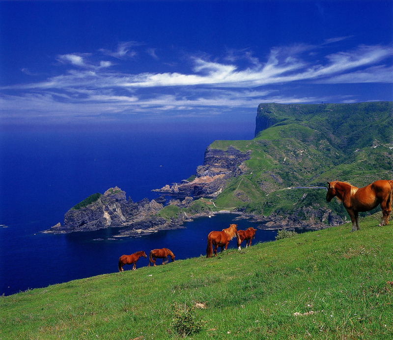 [Swing Scan] Horses, Japan; DISPLAY FULL IMAGE.