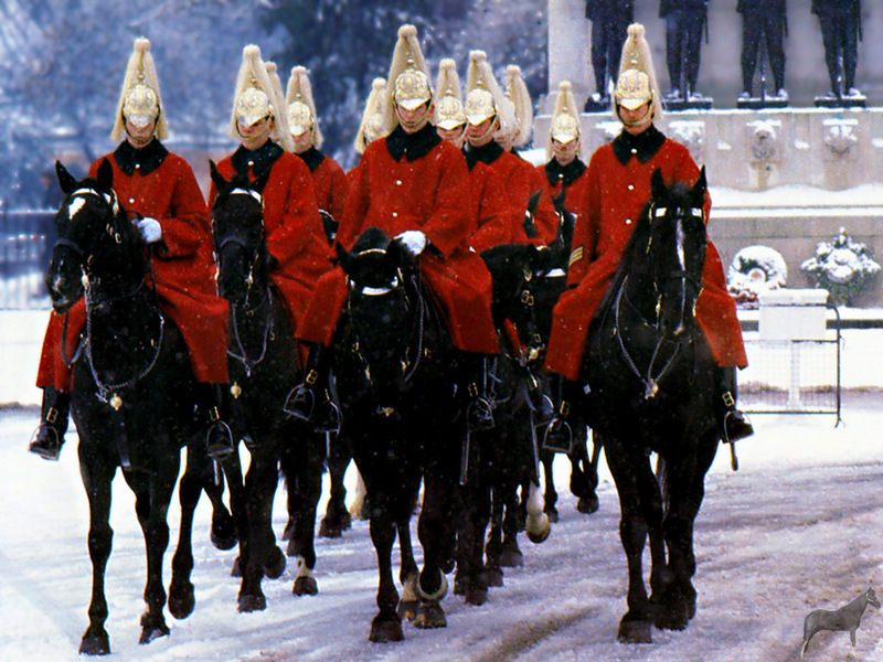 [Equus-SDC Horses] Royal Life Guards; DISPLAY FULL IMAGE.