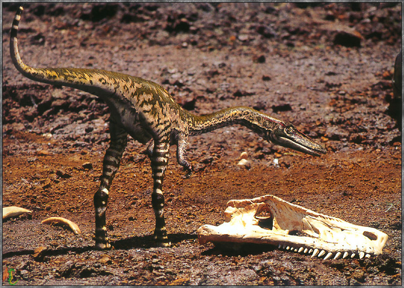 [Fafnir Scan - Walking with Dinosaurs] Coelophysis; DISPLAY FULL IMAGE.