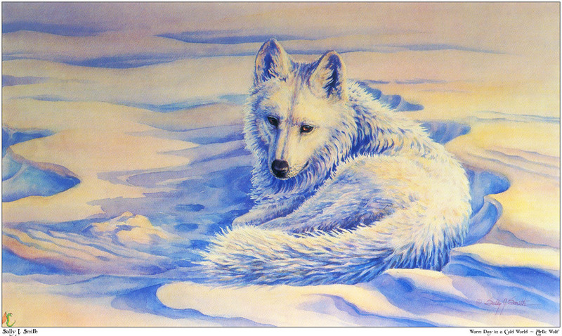 [Fafnir Scan - Sally J. Smith] 'Wolf Sprit' - 1997 Calendar - Warm Day In A Cold World - Artic Wolf; DISPLAY FULL IMAGE.