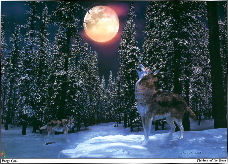 [Fafnir Scan - Barry Chall] 'Animal Sprit' - 1996 Calendar - Children-of-the-Moon (Gray Wolf); DISPLAY FULL IMAGE.