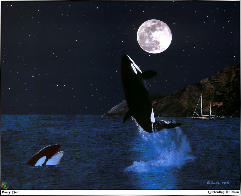[Fafnir Scan - Barry Chall] 'Animal Sprit' - 1996 Calendar - Celebrating-the-Moon (Orcas); DISPLAY FULL IMAGE.