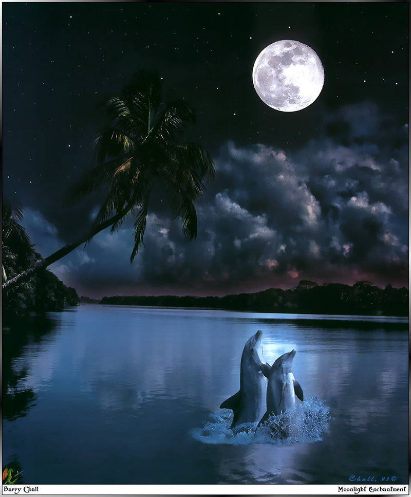 [Fafnir Scan - Barry Chall] 'Animal Sprit' - 1996 Calendar - Moonlight-Enchantment (Dolphins); DISPLAY FULL IMAGE.