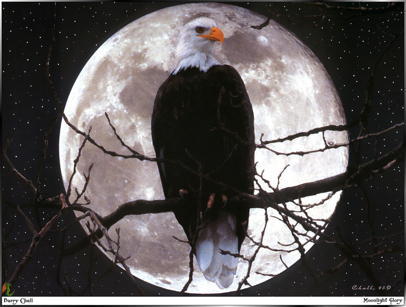 [Fafnir Scan - Barry Chall] 'Animal Sprit' - 1996 Calendar - Moonlight-Glory (Bald Eagle); DISPLAY FULL IMAGE.