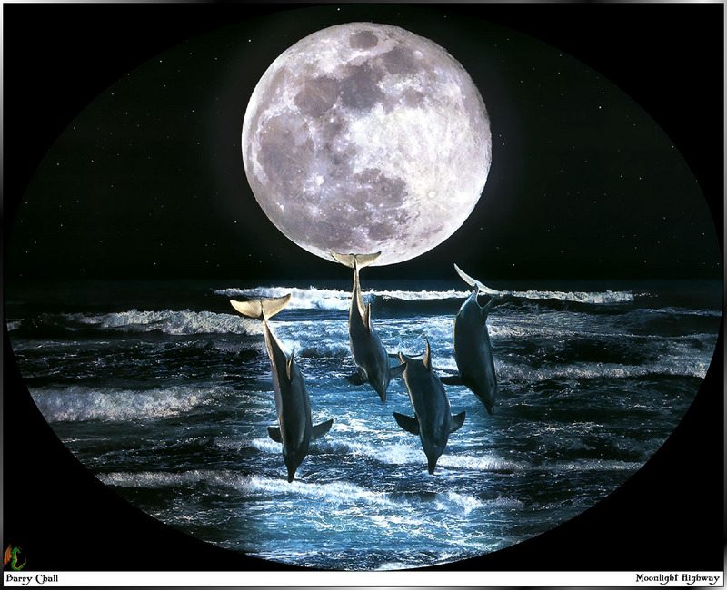 [Fafnir Scan - Barry Chall] 'Animal Sprit' - 1996 Calendar - Moonlight-Highway (Dolphins); DISPLAY FULL IMAGE.