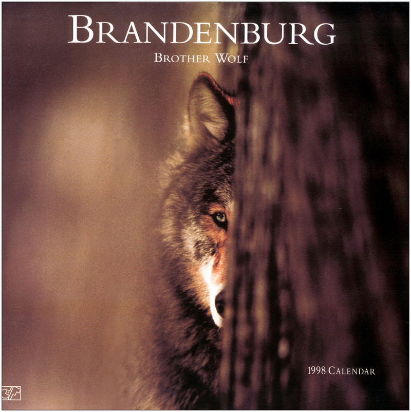 [Fafnir Scan - Jim Brandenburg] 'Brother Wolf' - 1998 Calendar; DISPLAY FULL IMAGE.