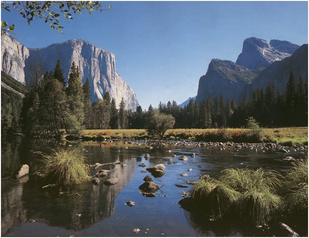 [WillyStoner Scans - Wildlife] Yosemite National Park, Canada; DISPLAY FULL IMAGE.