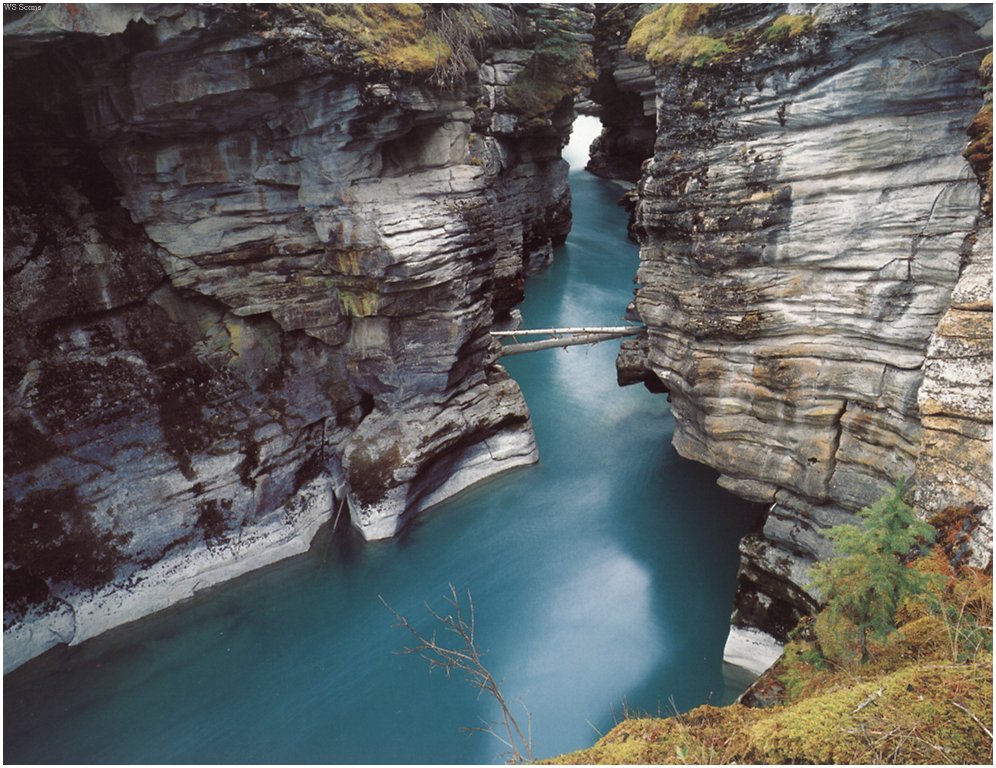 [WillyStoner Scans - Wildlife] Athabasca Falls Canyon Jasper National Park, Canada; DISPLAY FULL IMAGE.