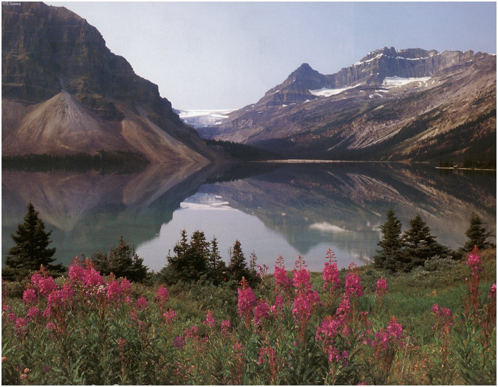 [WillyStoner Scans - Wildlife] Banff National Park, Alberta, Canada; DISPLAY FULL IMAGE.