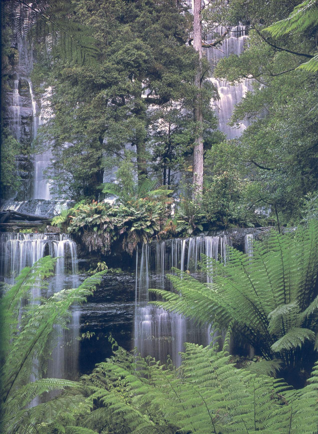 Mount Field National Park; DISPLAY FULL IMAGE.