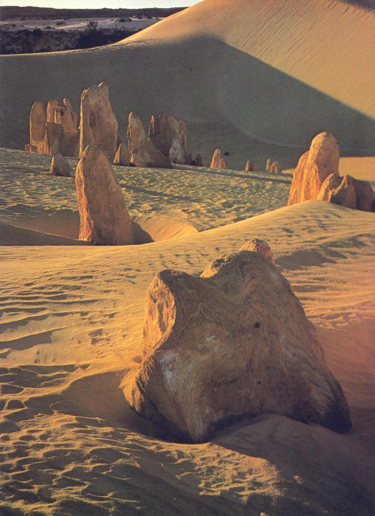 Nambung National Park; DISPLAY FULL IMAGE.